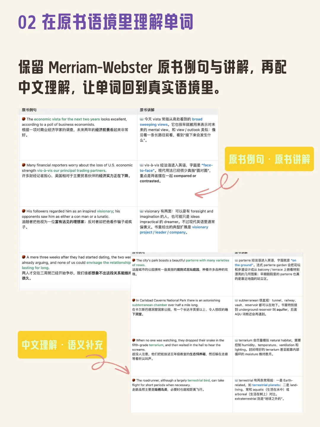原书例句与中文讲解预览:vista、visionary、terrarium 等单词的语境分析