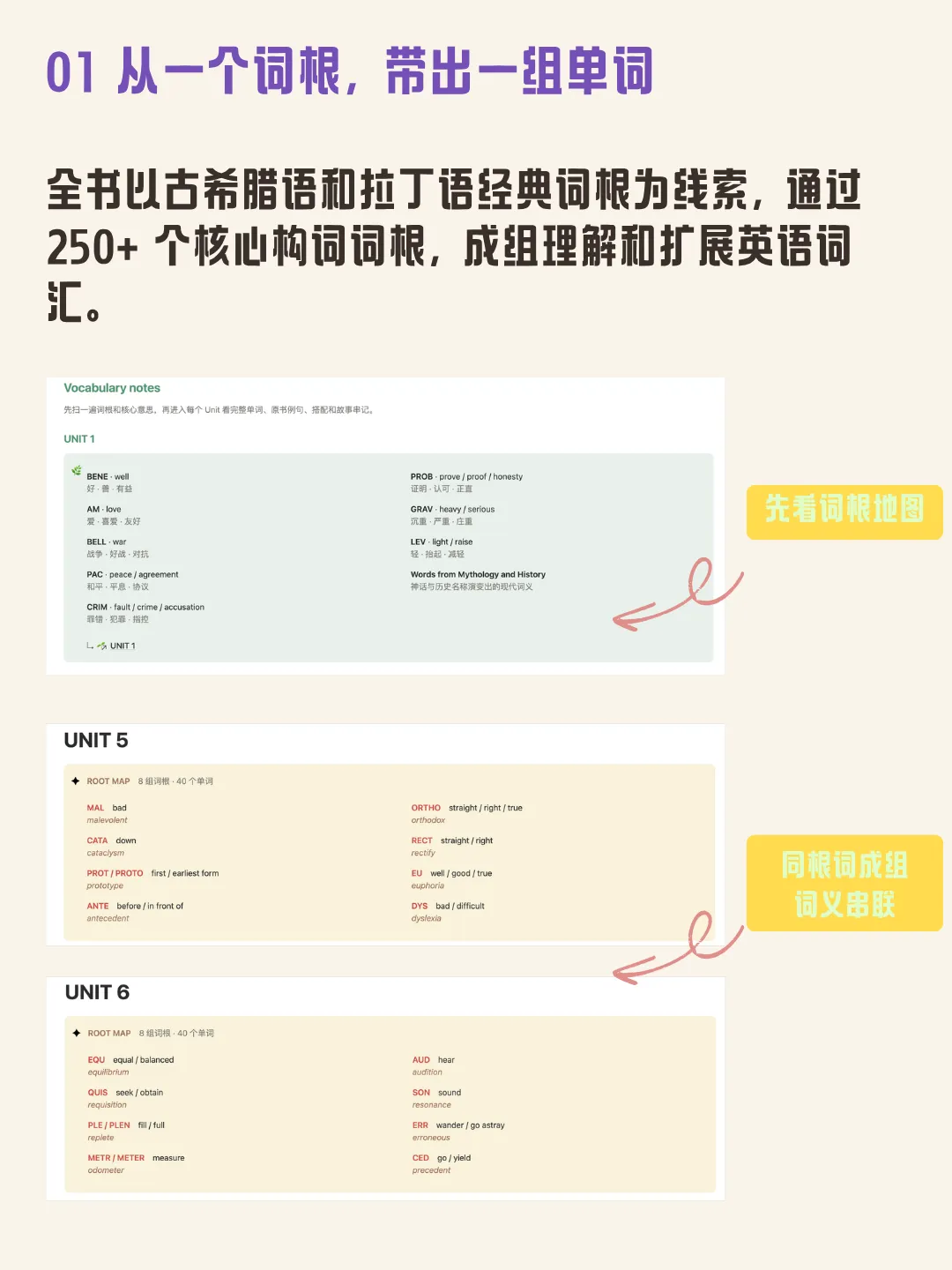 词根学习预览,包含 BENE、MAL、ORTHO 等词根与同根词分组